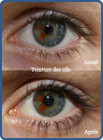 Teinture des cils 19 euros